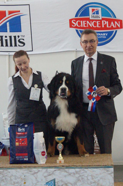 MILLENIUM STAR DARK WINNER