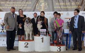 Zoltan Alpiu Slenis