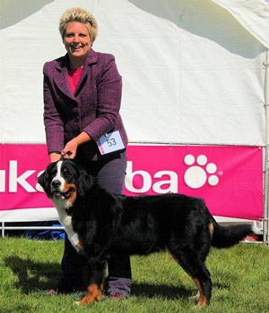 MILLENIUM STAR J'ADORE DIOR AT PASTUREGREEN