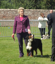 MILLENIUM STAR J'ADORE DIOR AT PASTUREGREEN