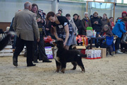 Fortdog'Yar Karvell 