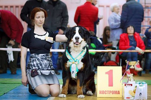 Millenium Star Jovanna