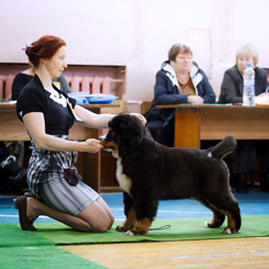 FORTDOG'YAR KARMELO