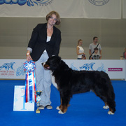 MILLENIUM STAR ESTEFANA ELBERTINA