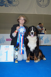 MILLENIUM STAR ESTEFANA ELBERTINA