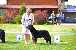 MILLENIUM STAR ESTEFANA ELBERTINA