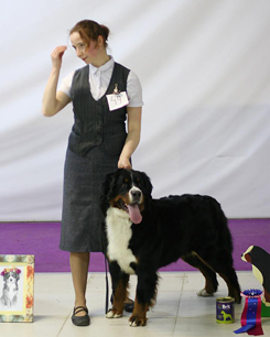 MILLENIUM STAR MACKENZI