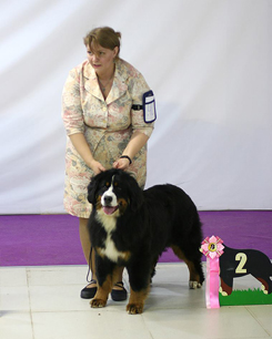 MILLENIUM STAR MACKENZI